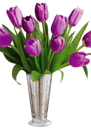 Tantalizing Tulips Bouquet